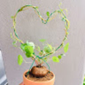 Meet your Posher, Ling